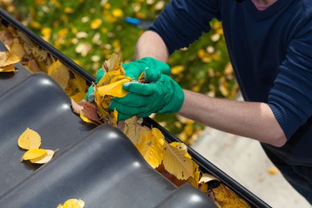 Gutter Clean Out